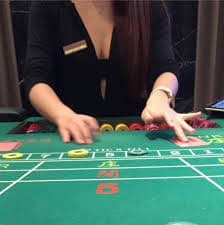 pussy888